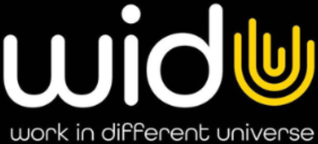 Widu — work in different universe